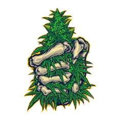 image 18-PhotoRoom (1) 5