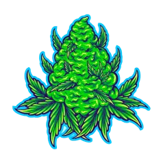 image 19-PhotoRoom (1) 2